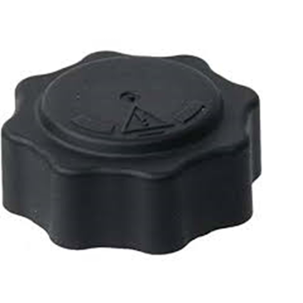 MINI R50 RADYATÖR KAPAĞI 17107515499
PCD100160