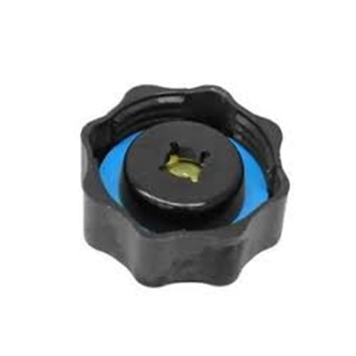 MINI R50 RADYATÖR KAPAĞI 17107515499
PCD100160
